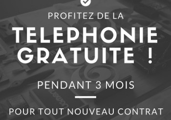 Votre téléphonie professionnelle gratuite pendant 3 mois !!!